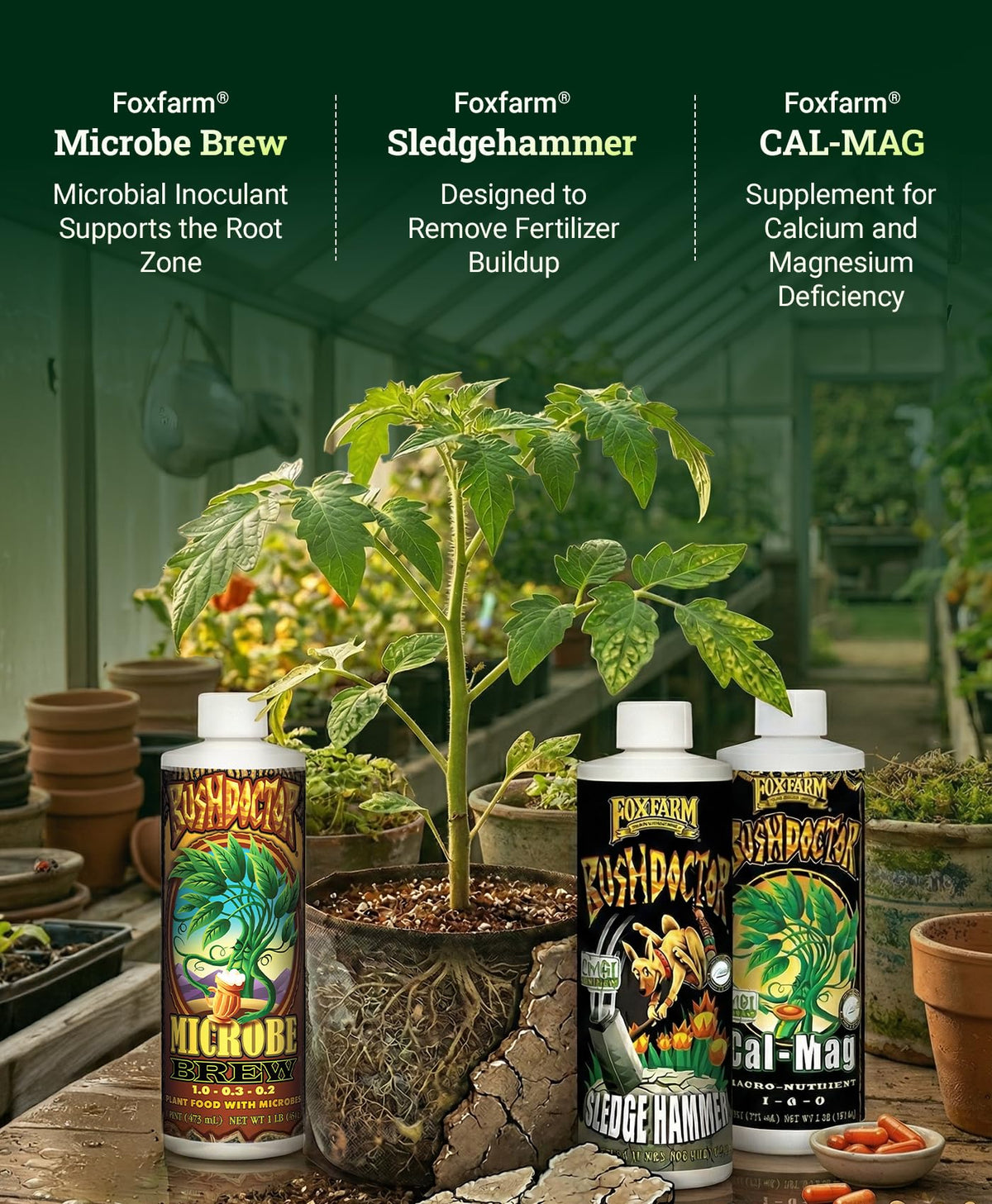 FoxFarm Grow Big liquid bottle strengthens stems for vigorous development