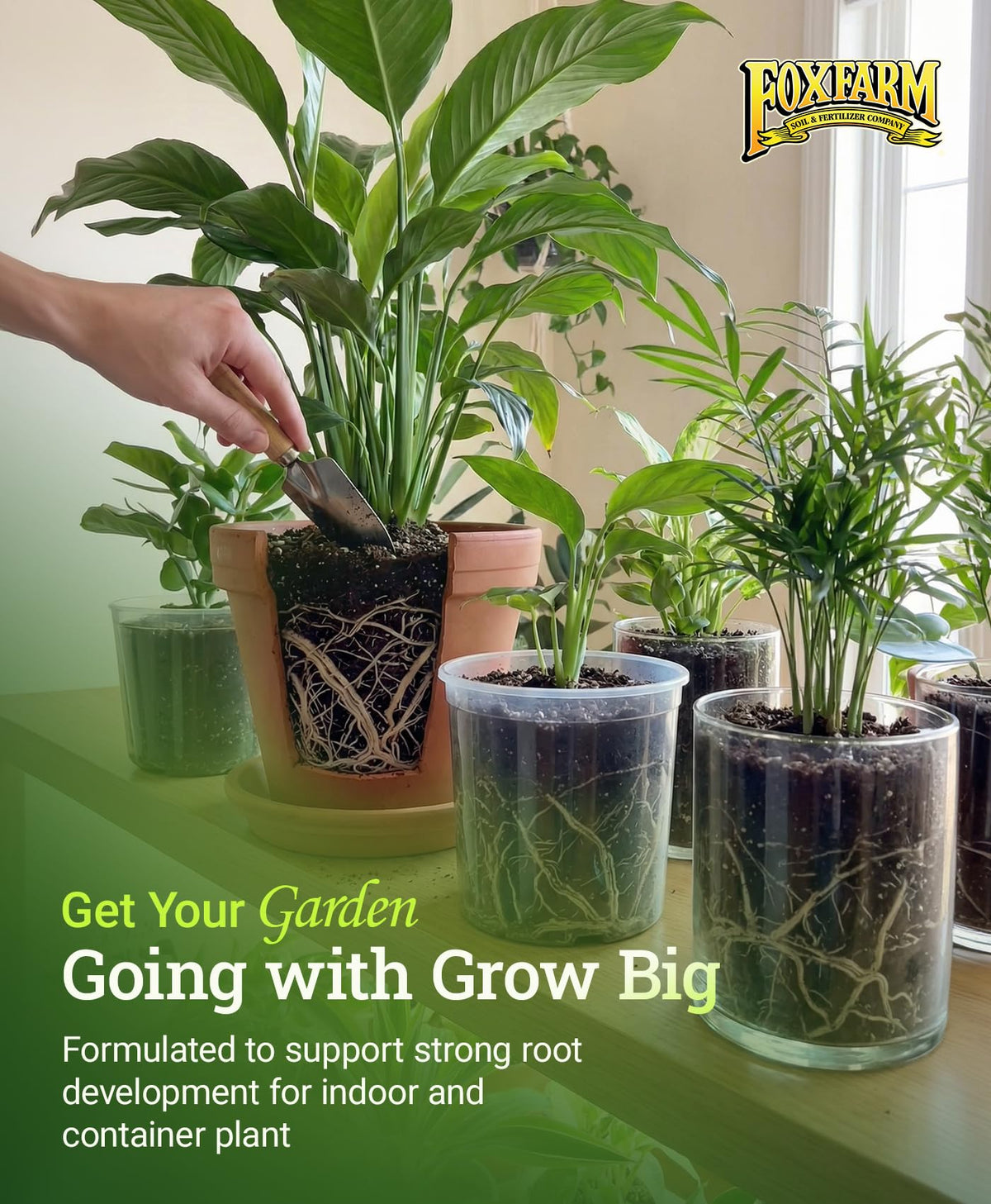 FoxFarm Grow Big bottle displayed in a home garden for easy access.