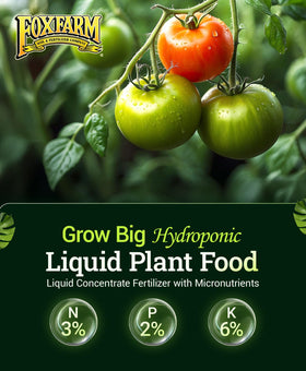 Close-up of FoxFarm Grow Big label highlighting the 3-2-6 nutrient mix