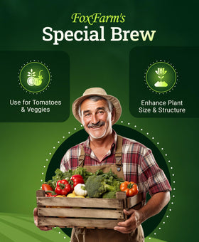FoxFarm Grow Big Hydroponic plant growth application demonstrating fast uptake