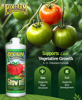 FoxFarm Grow Big label close-up showing fast-acting formula for quick uptake.