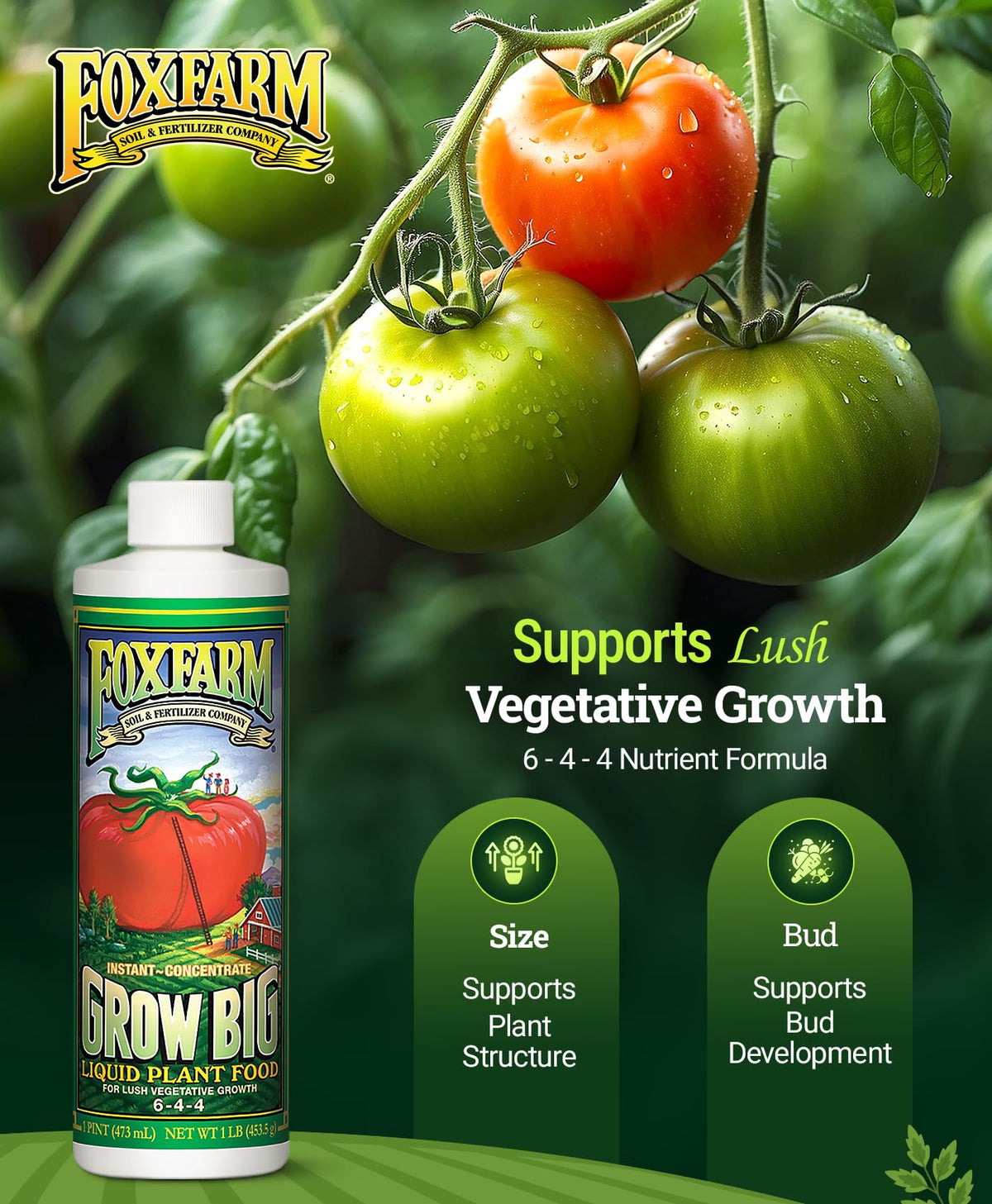 FoxFarm Grow Big promotes vibrant vegetative growth on leafy plants.