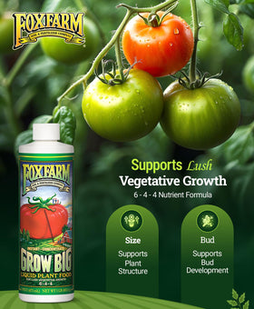 FoxFarm Grow Big promotes vibrant vegetative growth on leafy plants.