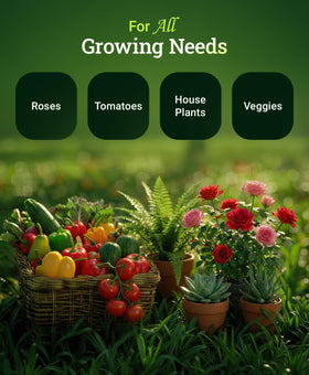 FoxFarm Grow Big used for watering to deliver steady nutrients to roots.