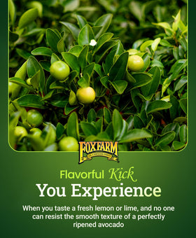 FoxFarm Happy Frog citrus avocado fertilizer being spread over soil for ready application.