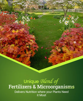 FoxFarm Happy Frog easy top dress application for containers and beds.