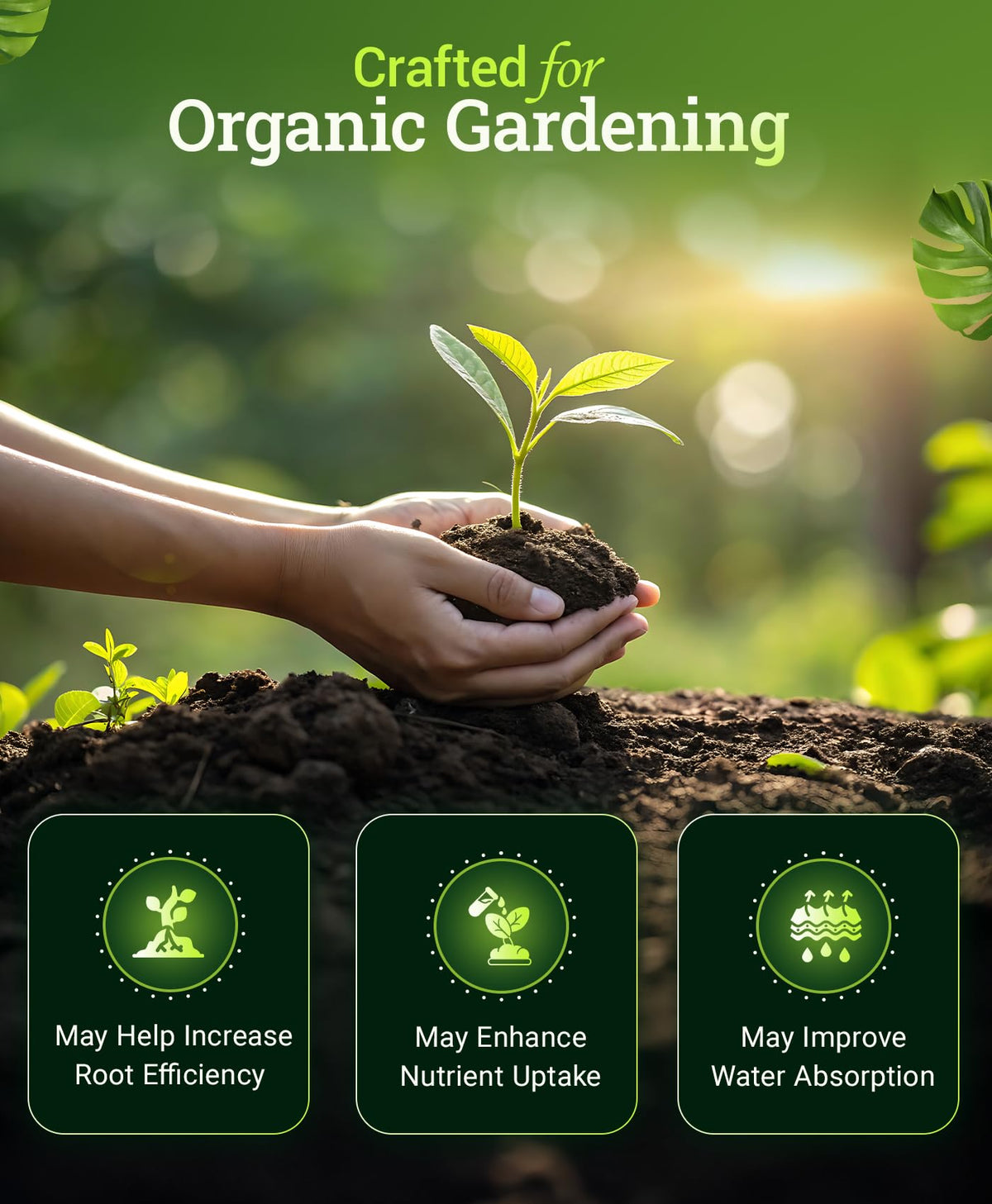 Container plants receiving Jump Start for early growth support