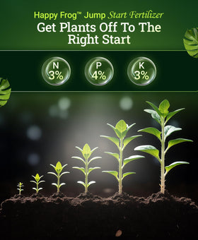 FoxFarm Jump Start aiding seedling transplant for early establishment