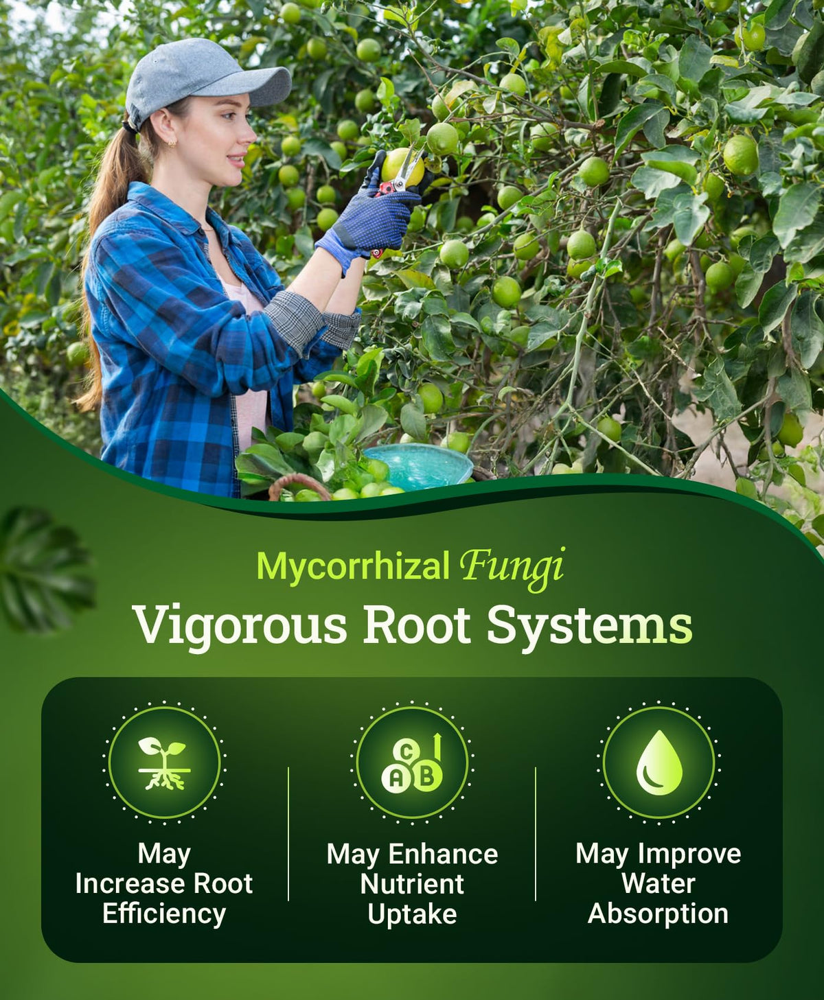 FoxFarm Happy Frog microbial blend label highlights mycorrhizal fungi benefits.