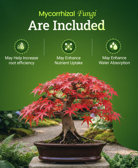 FoxFarm Happy Frog mycorrhizal fungi improve water absorption and nutrient uptake.