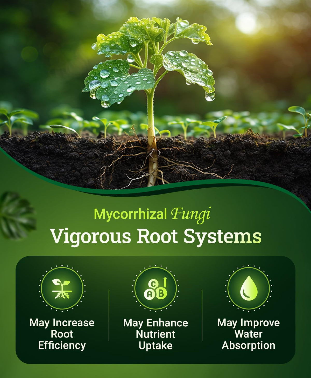 FoxFarm Happy Frog root microbiome supports healthier roots and nutrient uptake.