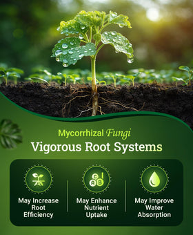 FoxFarm Happy Frog root microbiome supports healthier roots and nutrient uptake.