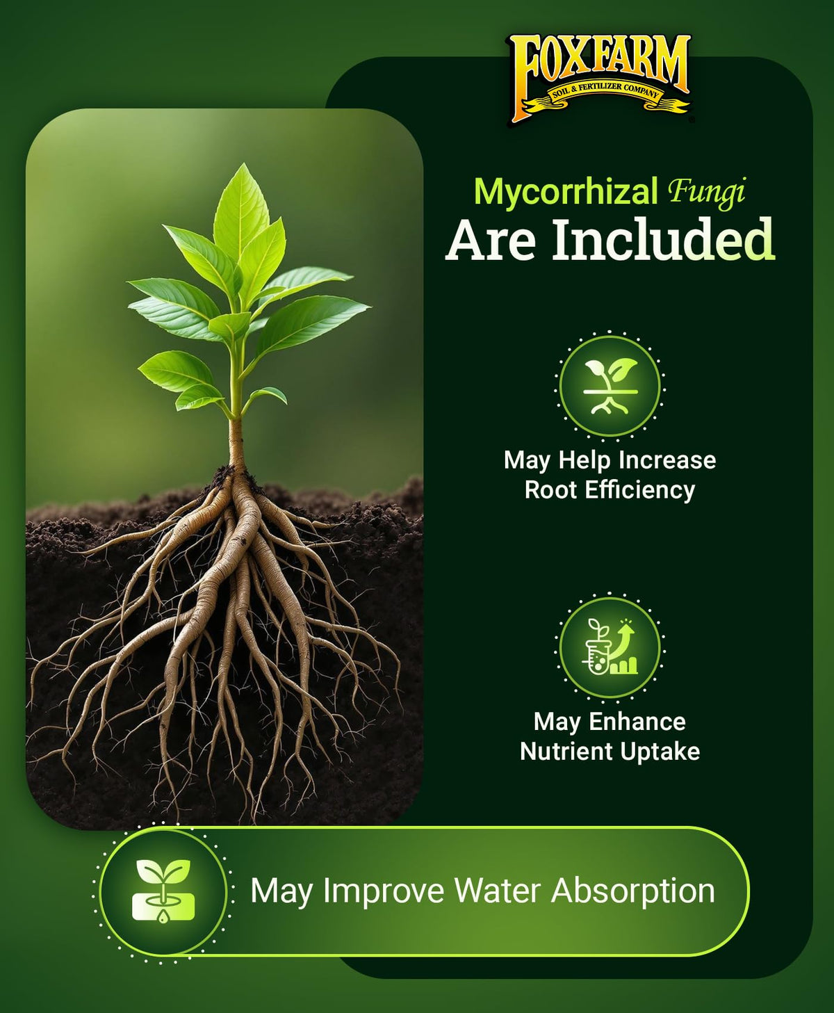 FoxFarm Happy Frog root-zone mycorrhiza improves nutrient uptake