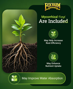FoxFarm Happy Frog root-zone mycorrhiza improves nutrient uptake