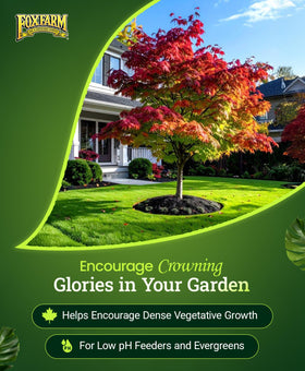 FoxFarm Happy Frog soil microbes enhance root efficiency for lush foliage.