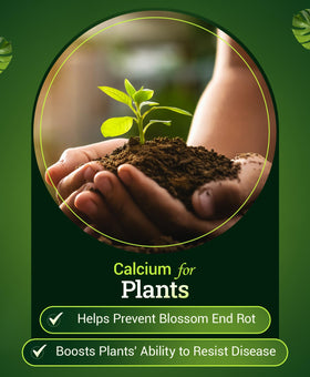 FoxFarm Happy Frog vegetable garden application in rows or containers