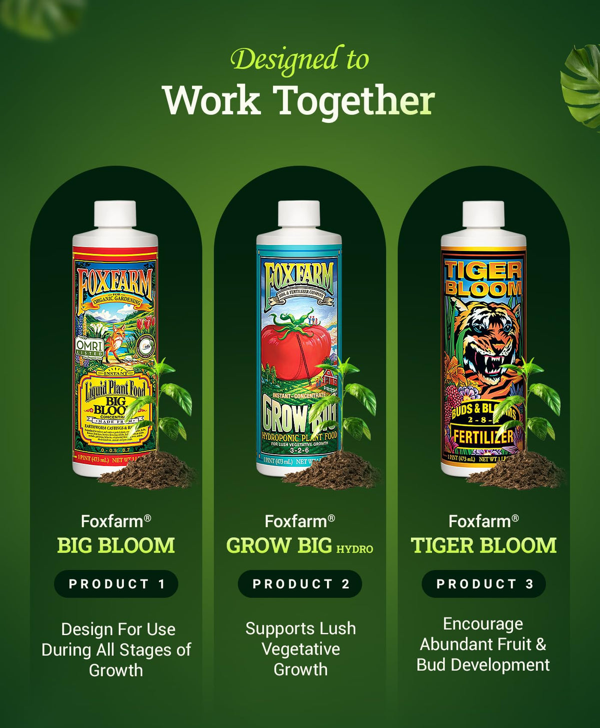 FoxFarm Hydro Liquid Trio bloom-ready plants thrive after feeding indoors