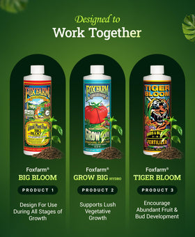 FoxFarm Hydro Liquid Trio bloom-ready plants thrive after feeding indoors