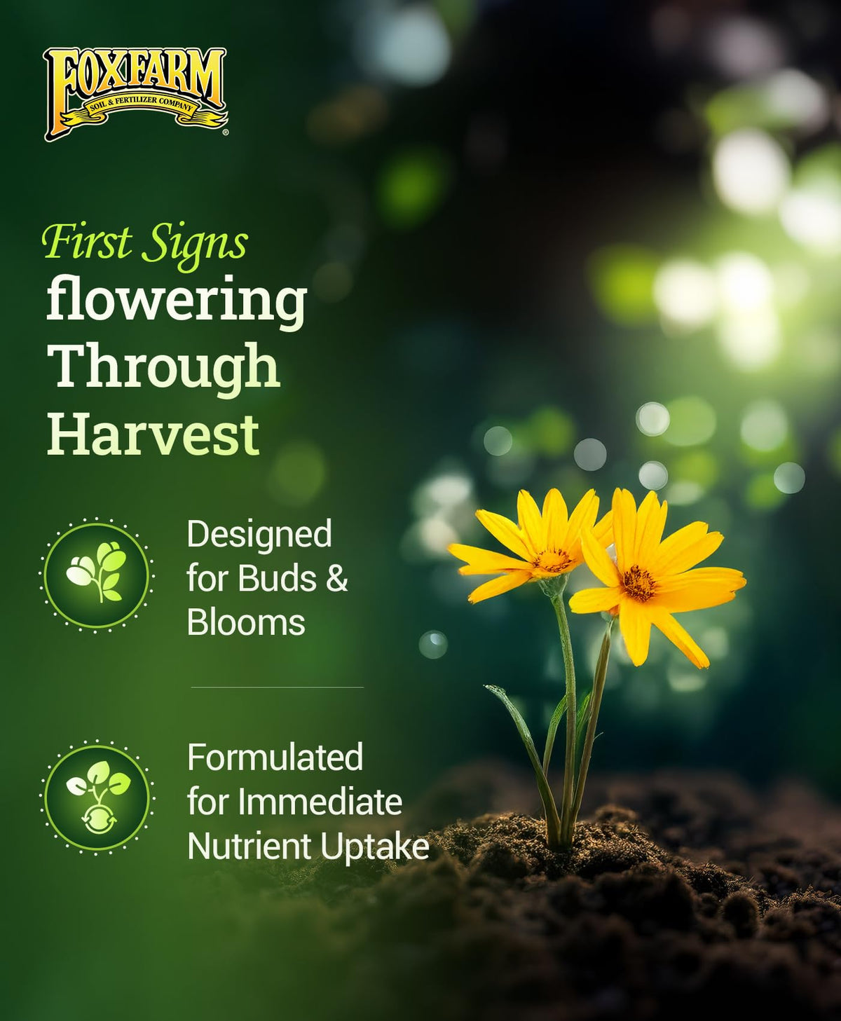 FoxFarm Hydro Liquid Trio indoor garden feeding scene demonstrates hydroponic nutrition