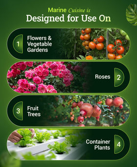 FoxFarm Marine Cuisine container plants image highlights versatile feeding for pots.