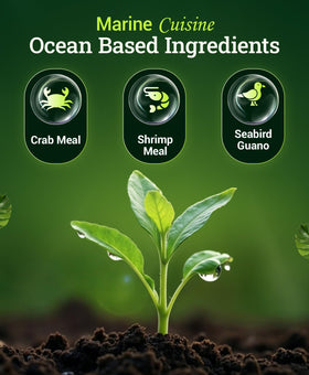 FoxFarm Marine Cuisine vegetable garden feeding illustrates heavy feeder nourishment for thriving crops.