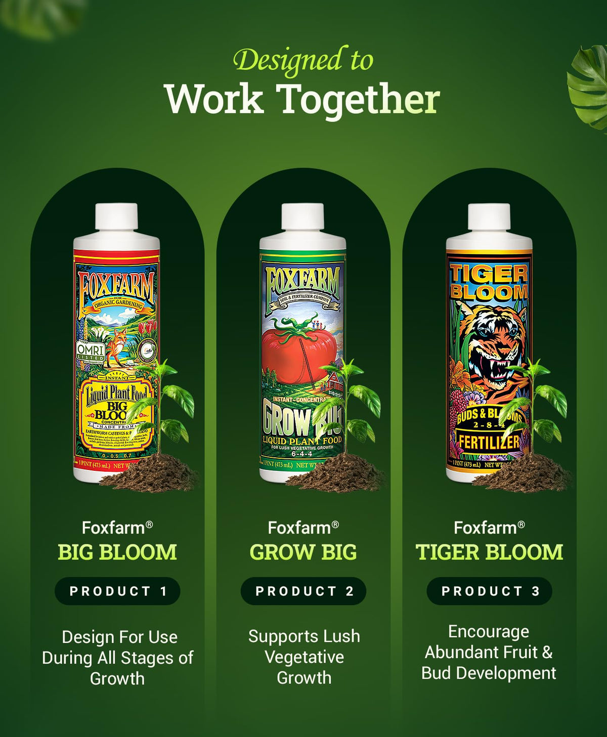 foxfarm roses vegetables garden scene: compatible with many plants for steady growth.