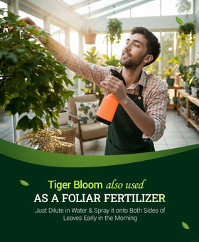 FoxFarm Tiger Bloom 1 quart packaging ready to use