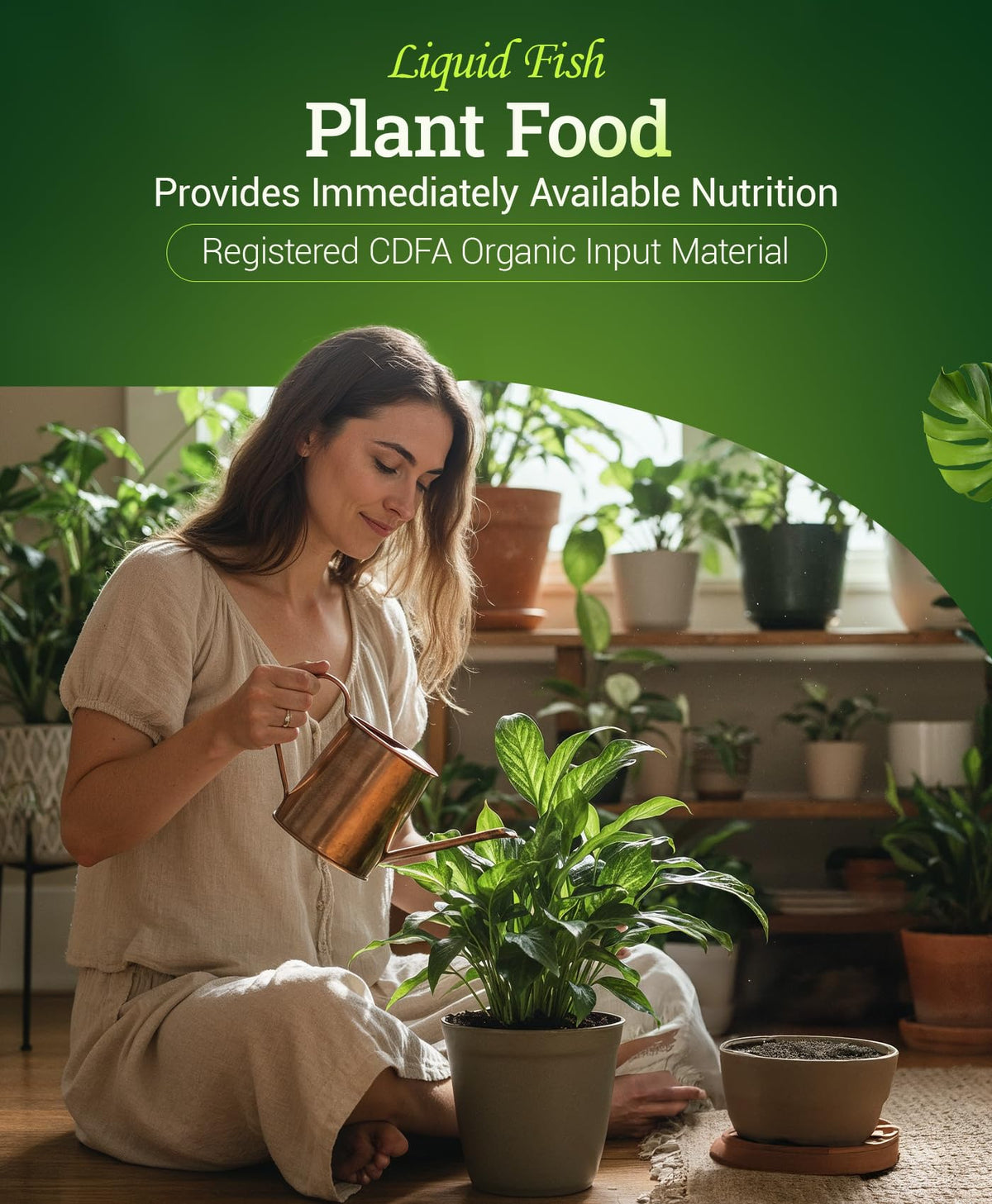 FoxFarm Wholly Mackerel container garden demonstrates versatile in-ground and pot use
