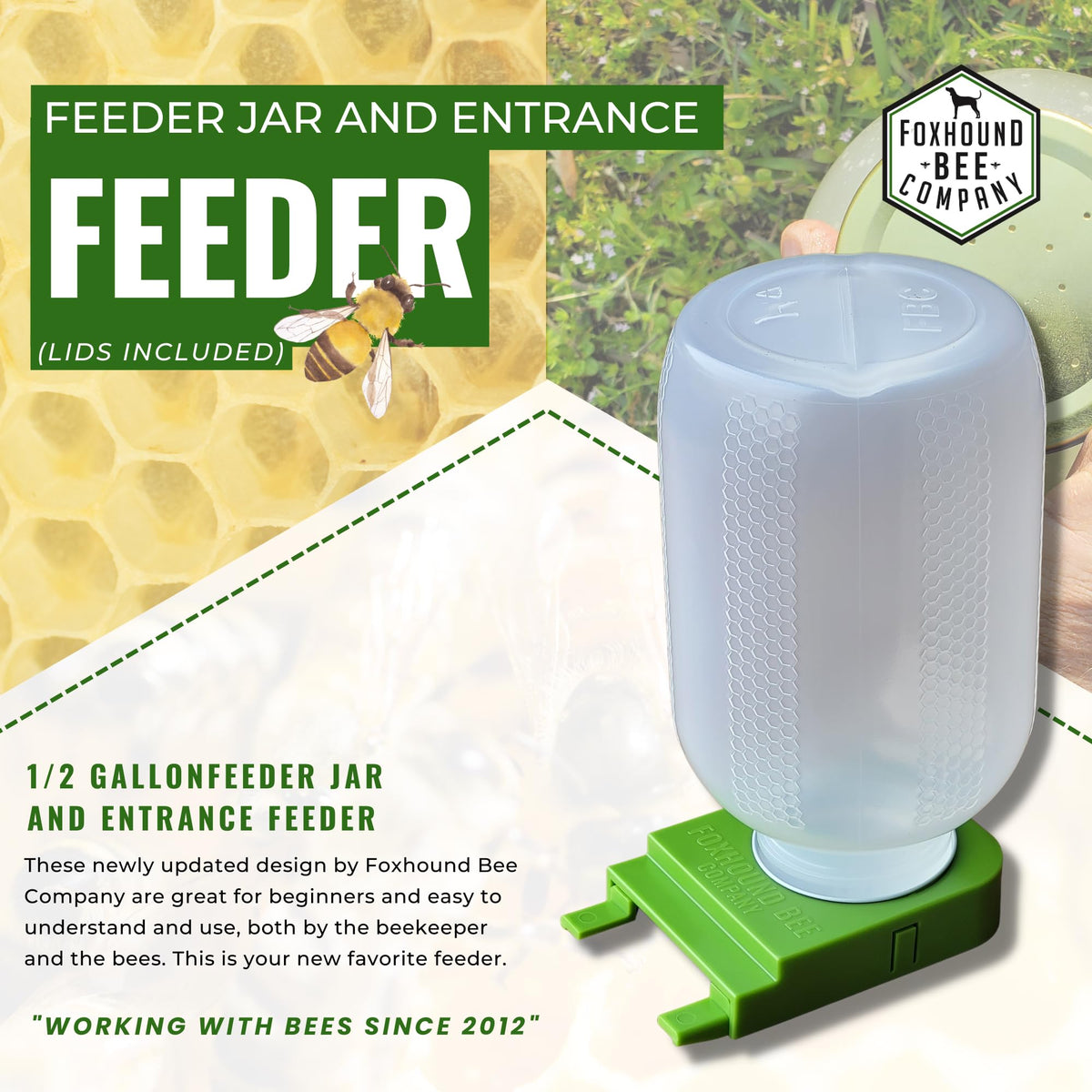 Step feeder inside hive entrance enables bees to drink from lid holes