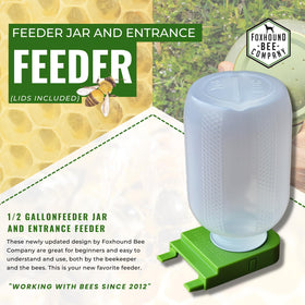 Step feeder inside hive entrance enables bees to drink from lid holes