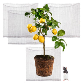Foyego root guard baskets setup for garden protection against burrowing pests