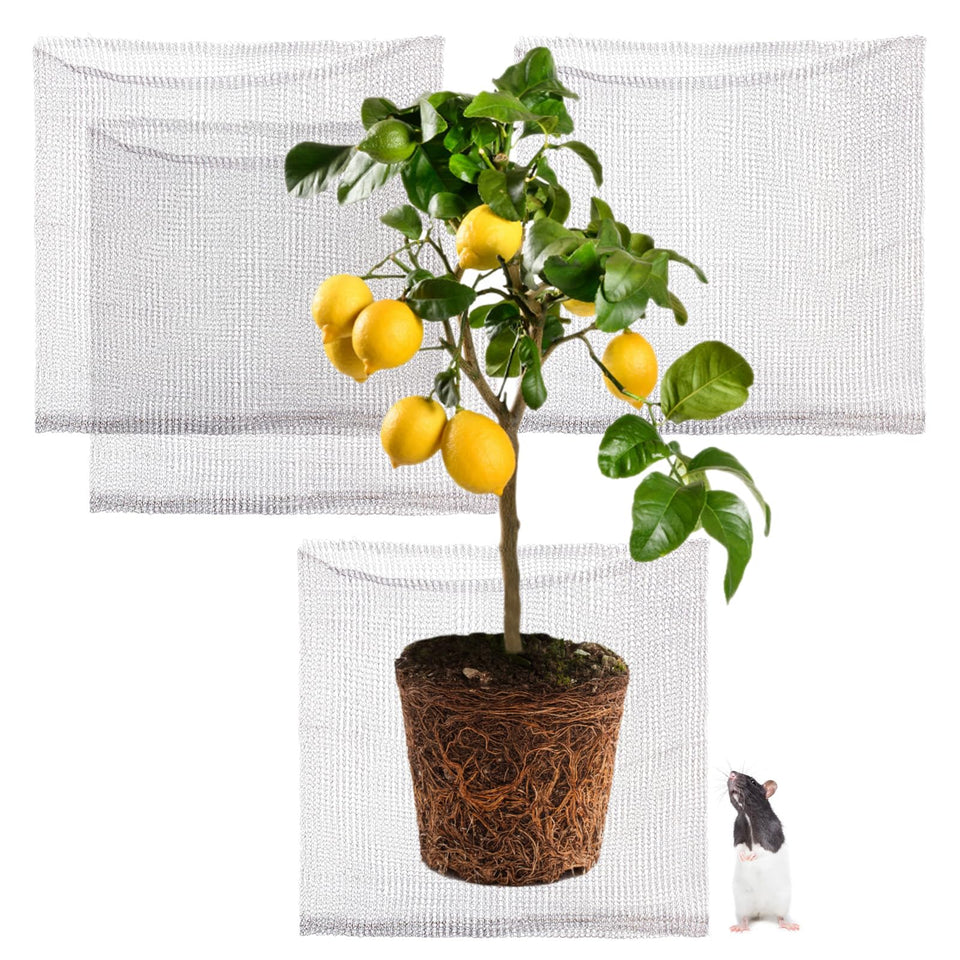 Foyego root guard baskets setup for garden protection against burrowing pests