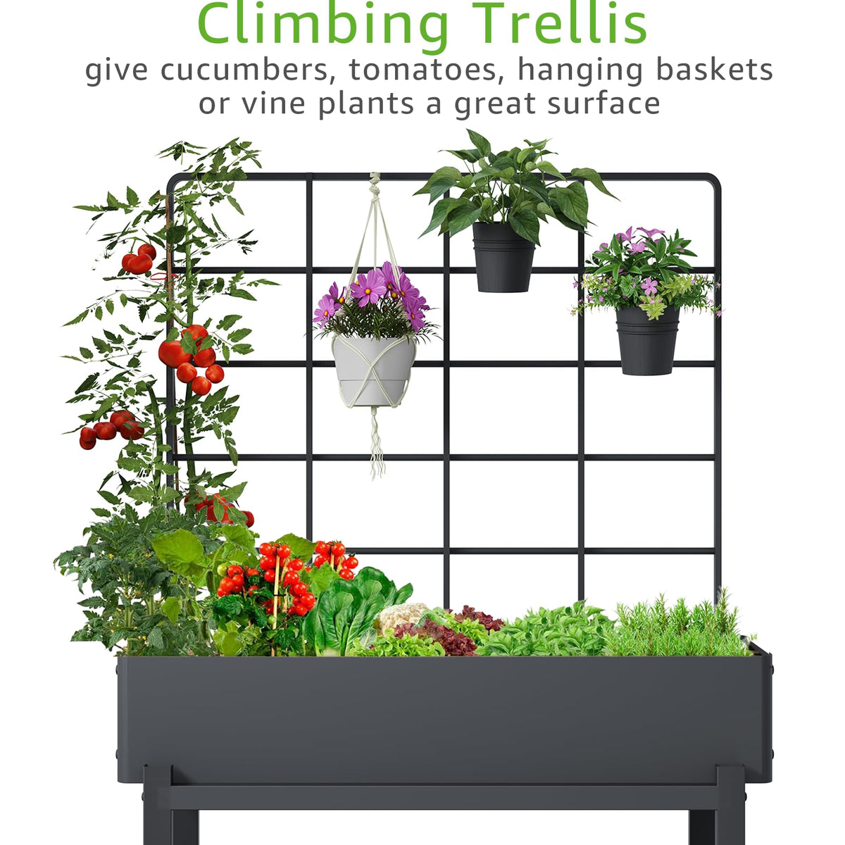 FOYUEE 26-inch trellis supports climbing plants.