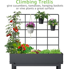 FOYUEE 26-inch trellis supports climbing plants.