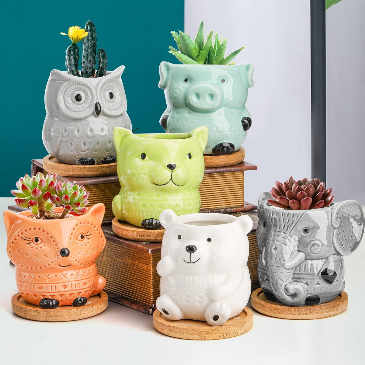 Frcctre animal pots make thoughtful gifts for plant lovers and new homes.