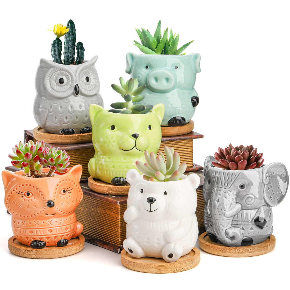 Frcctre animal succulent pot set for desks, perfect for small plants and cute decor.
