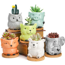 Frcctre animal succulent pot set for desks, perfect for small plants and cute decor.