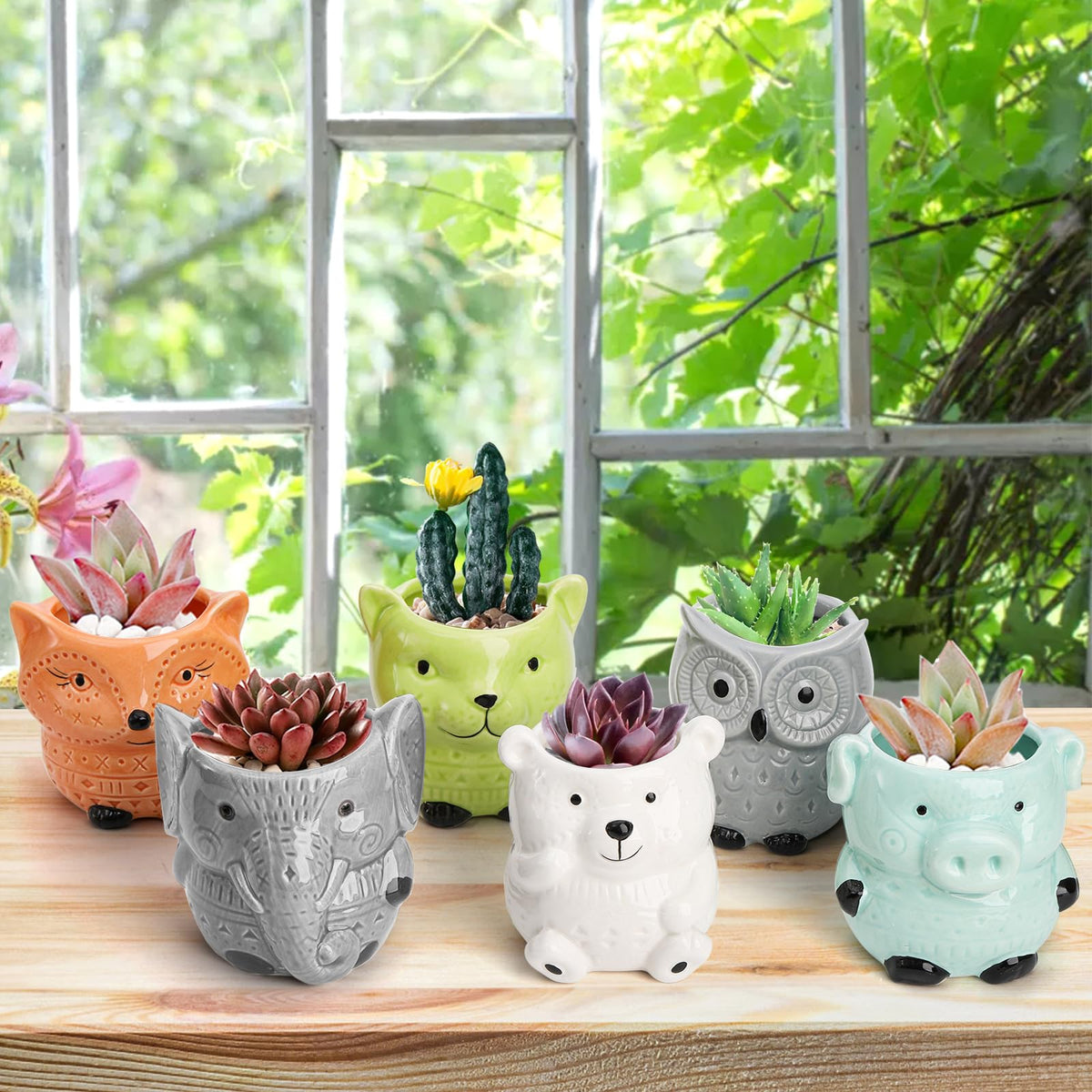 Frcctre ceramic pots resist scratches and clean easily for long-term display.