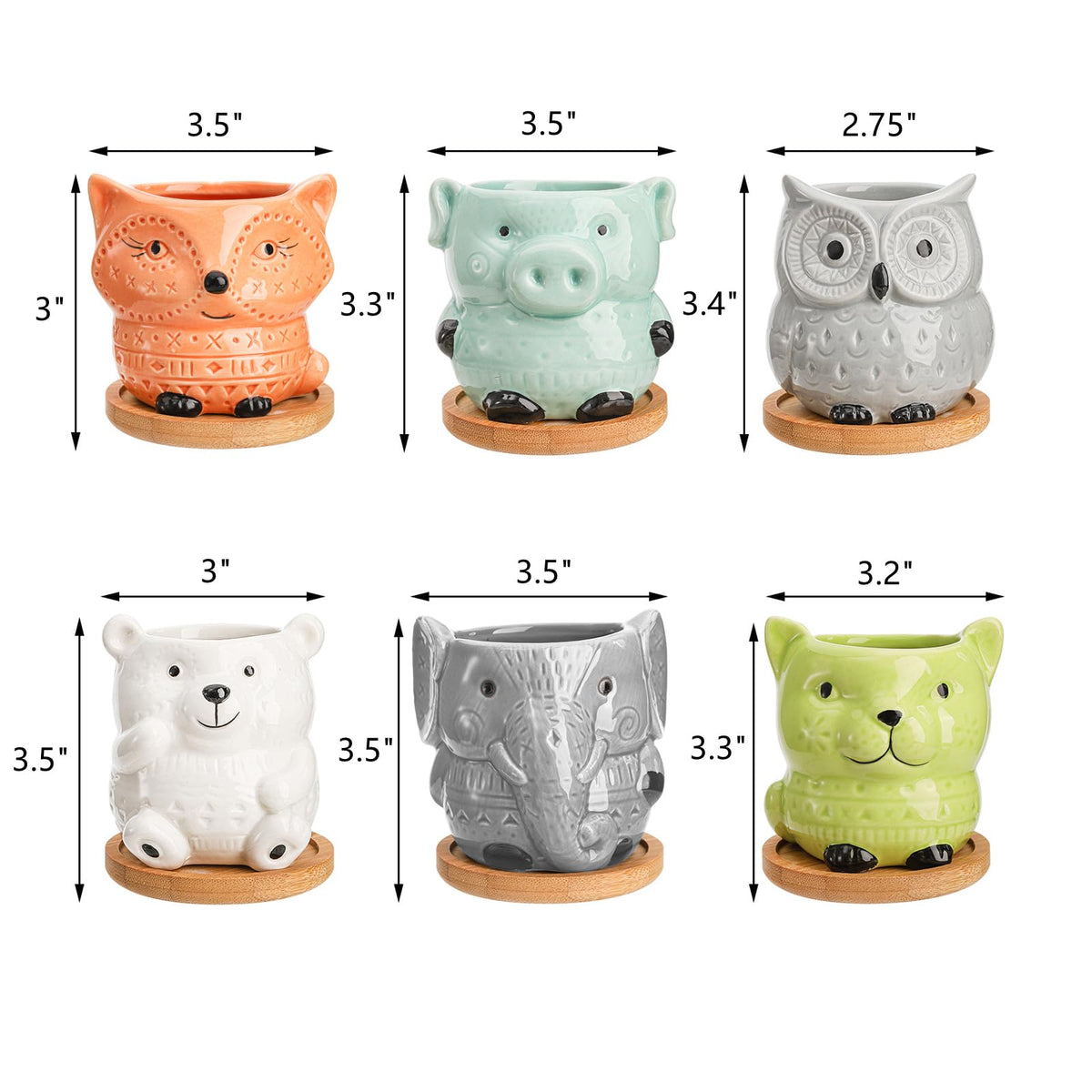 Frcctre ceramic pots with drainage keep roots healthy and prevent overwatering.
