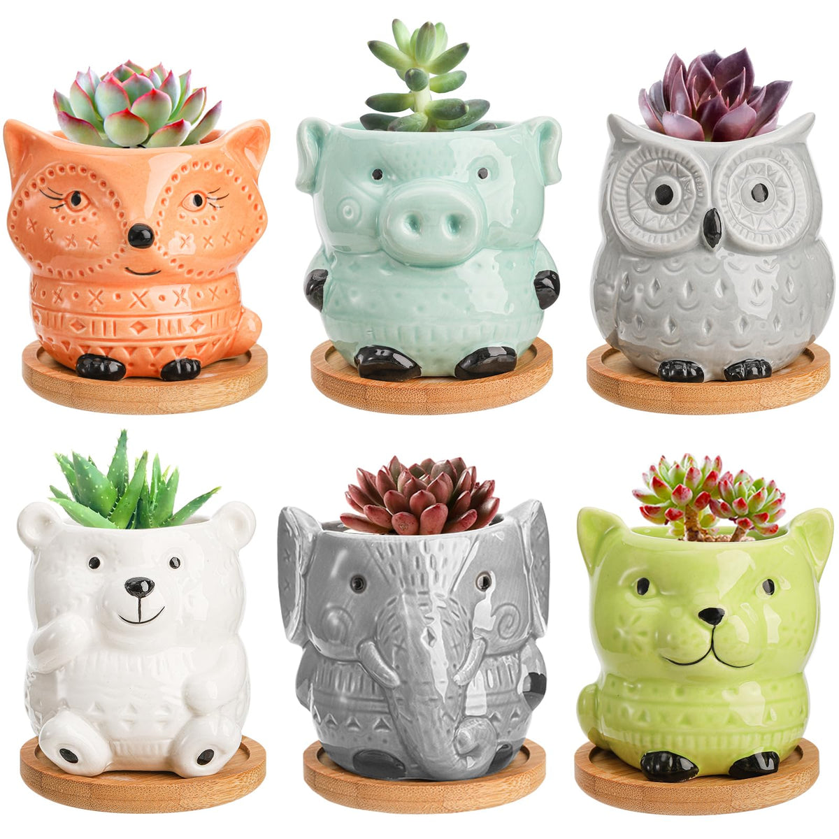 Frcctre small planter with animal shapes adds playful charm to home decor.