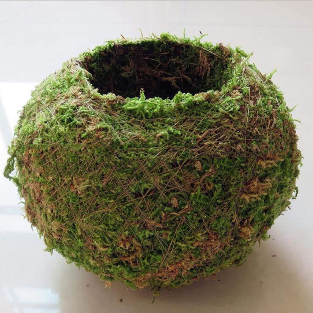 FRECI bird nest moss pot doubles as decorative container and space saver