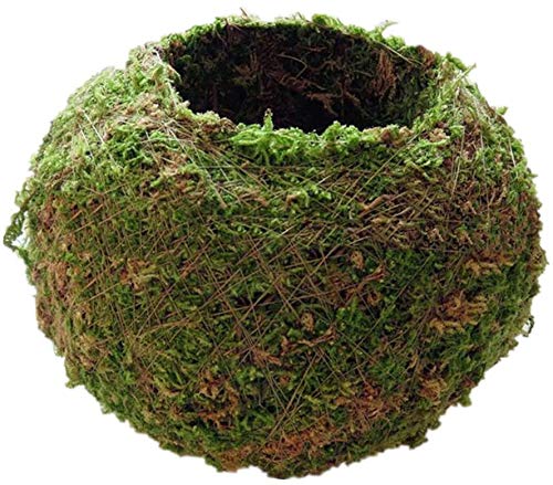 FRECI kokedama moss pot 18cm ideal for indoor greenery and air-friendly accents