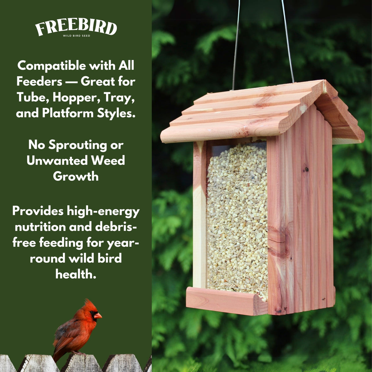 FREEBIRD finches at feeder showcases lively small birds enjoying nutrition.