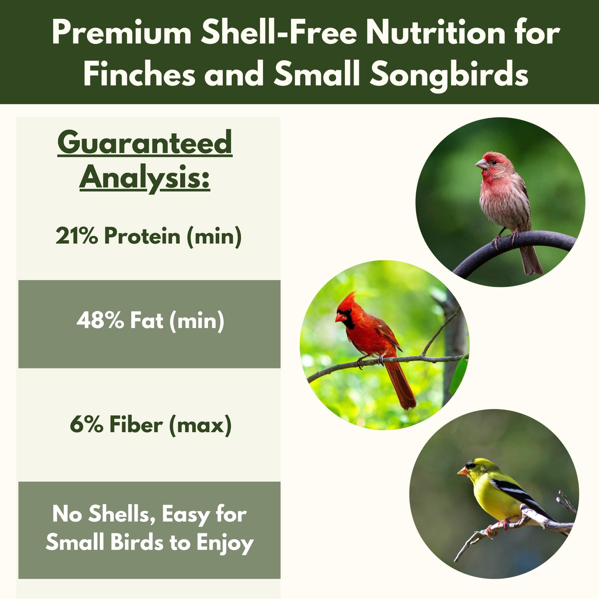 FREEBIRD patio feeding setup demonstrates easy outdoor birdwatching with tidy feeding.