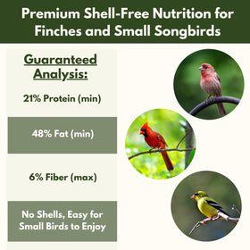 FREEBIRD patio feeding setup demonstrates easy outdoor birdwatching with tidy feeding.