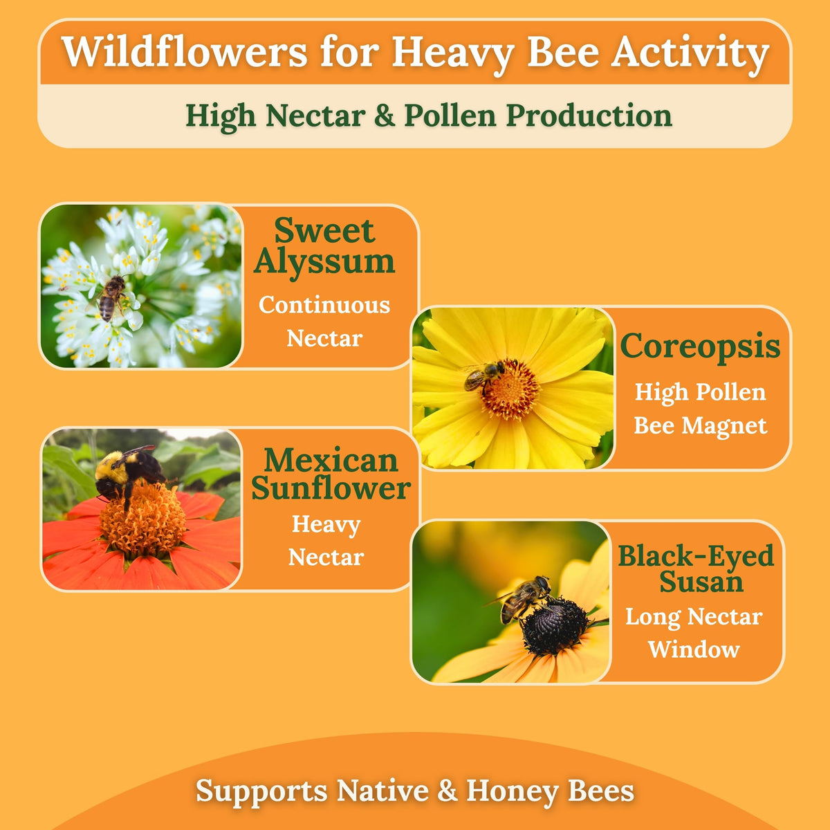 Perfect for backyard gardens, beds, and pollinator habitats.