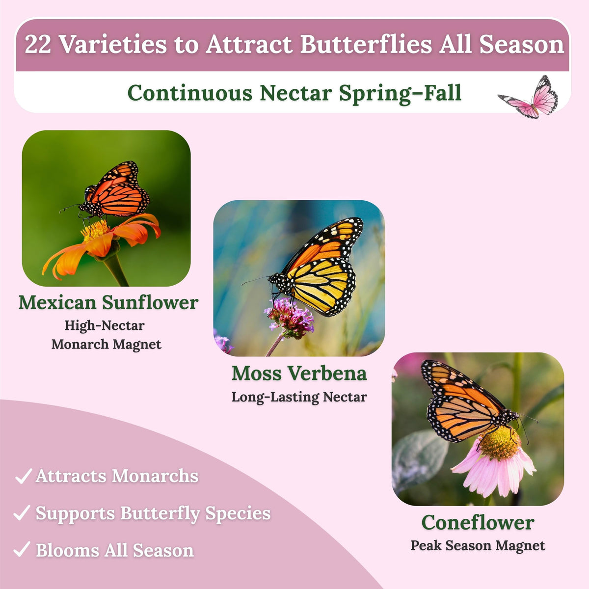 Creates nectar-rich blooms to support pollinators in your landscape.