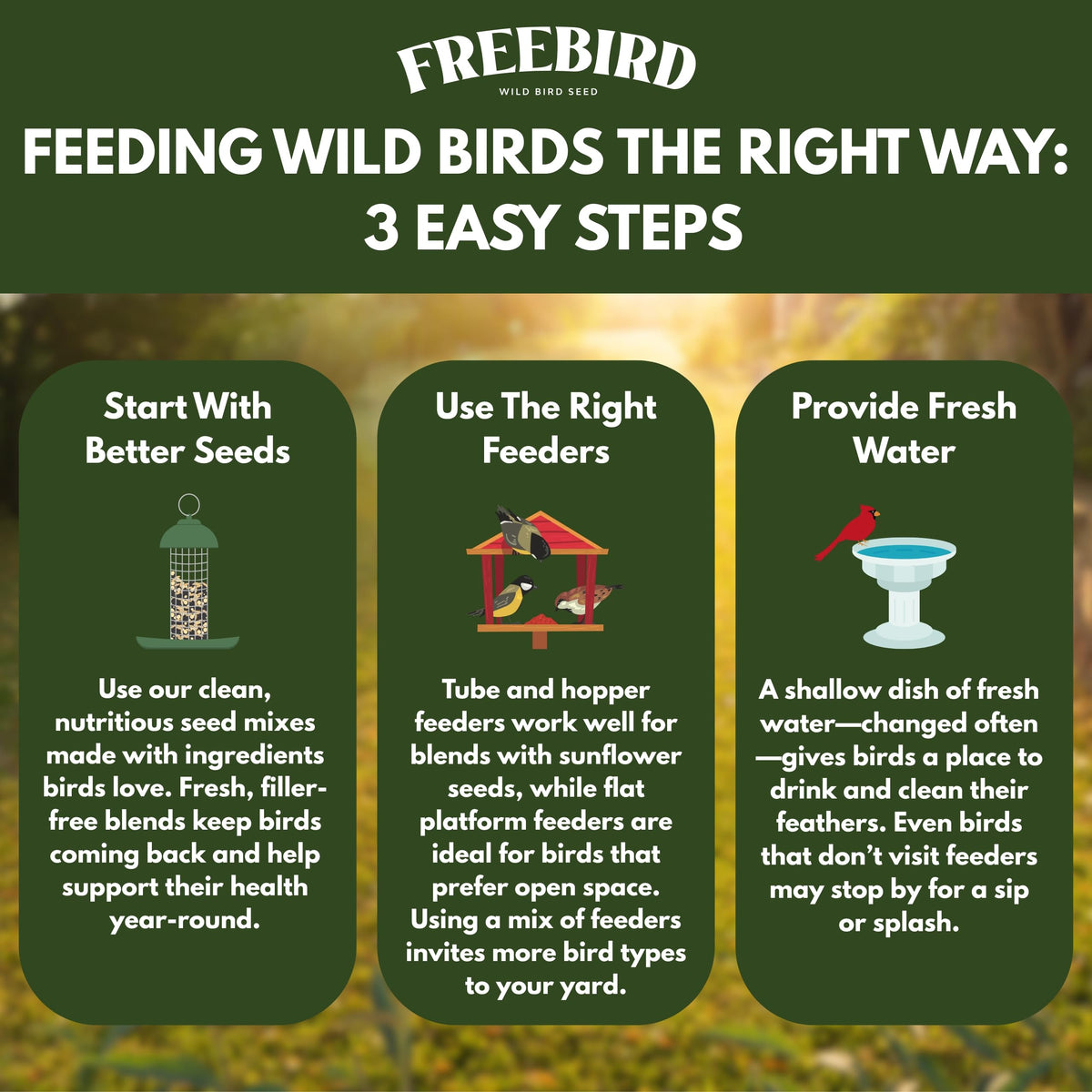 FREEBIRD yard no-waste seed spill keeps lawns clean.