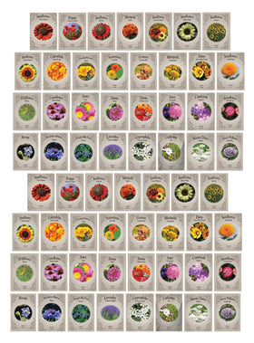 Freedom Farms 62 flower seed packets closeup showing diverse varieties for backyard color
