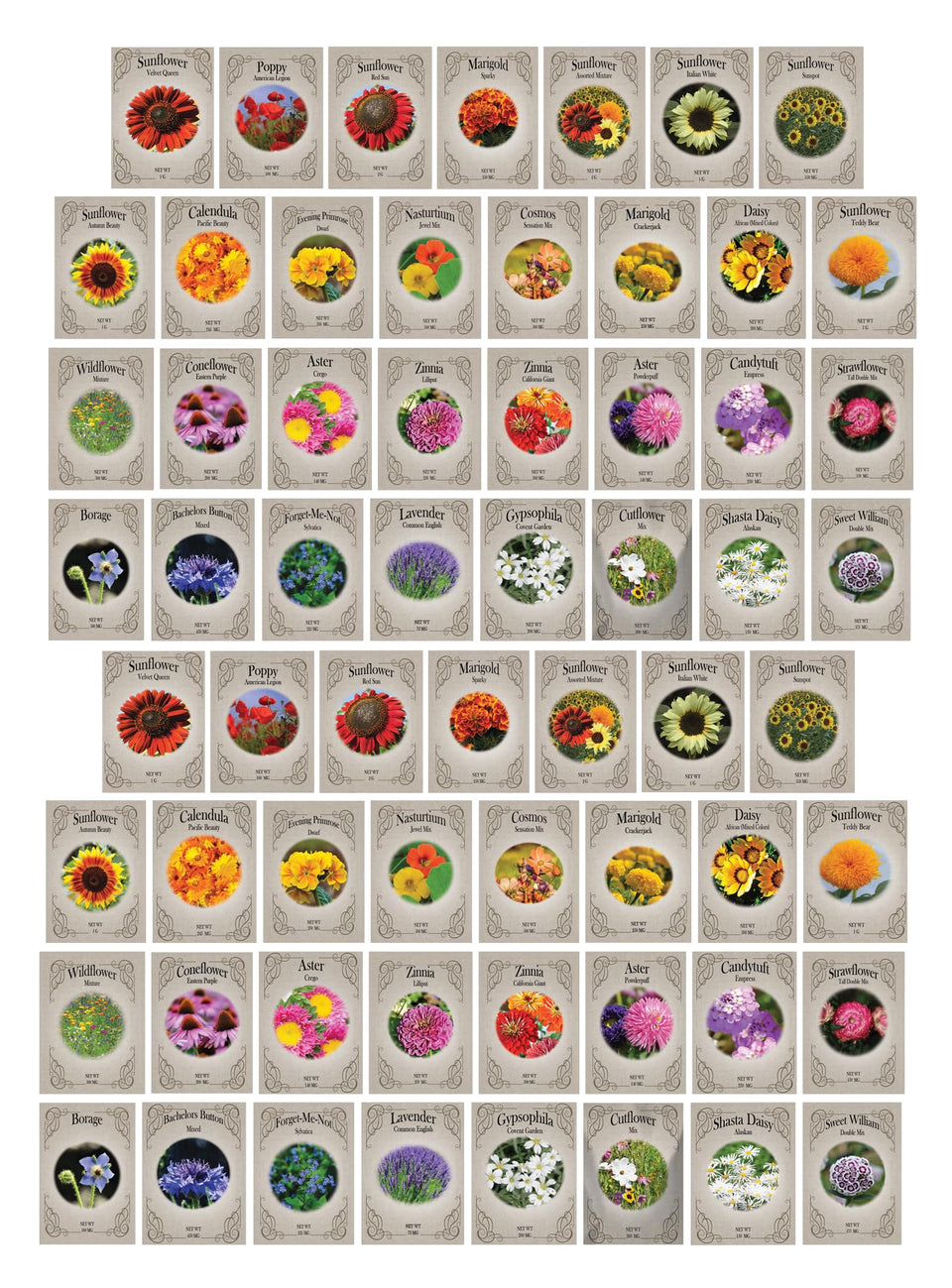 Freedom Farms 62 flower seed packets closeup showing diverse varieties for backyard color